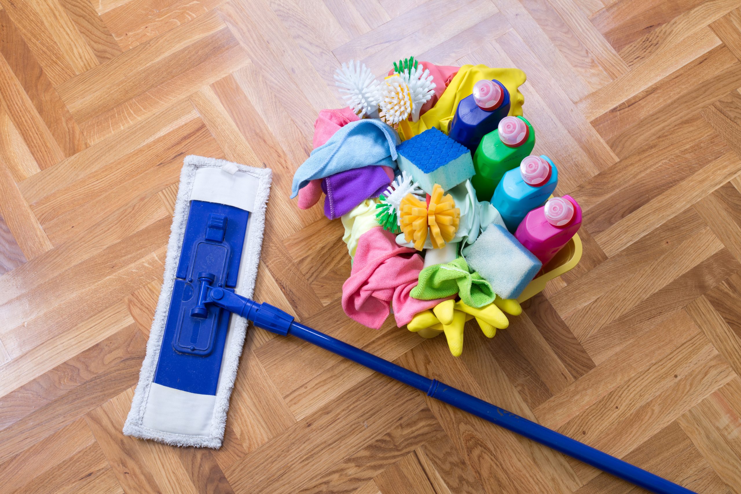Parquet Floor Sanding in Finchley – cleaning and caring for a restored oak herringbone parquet floor with mop and cleaning products.